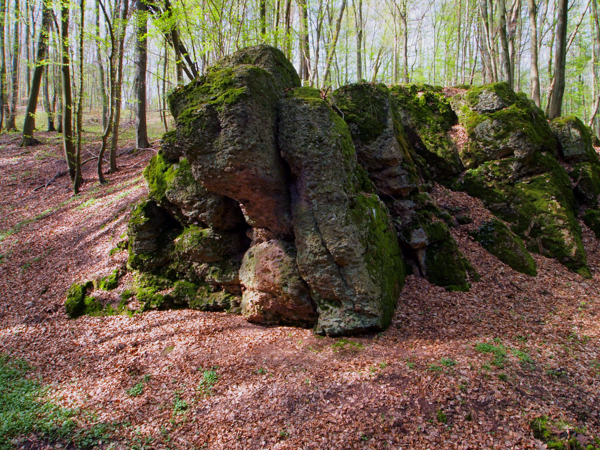 Hangard - Dorf mit Zukunft