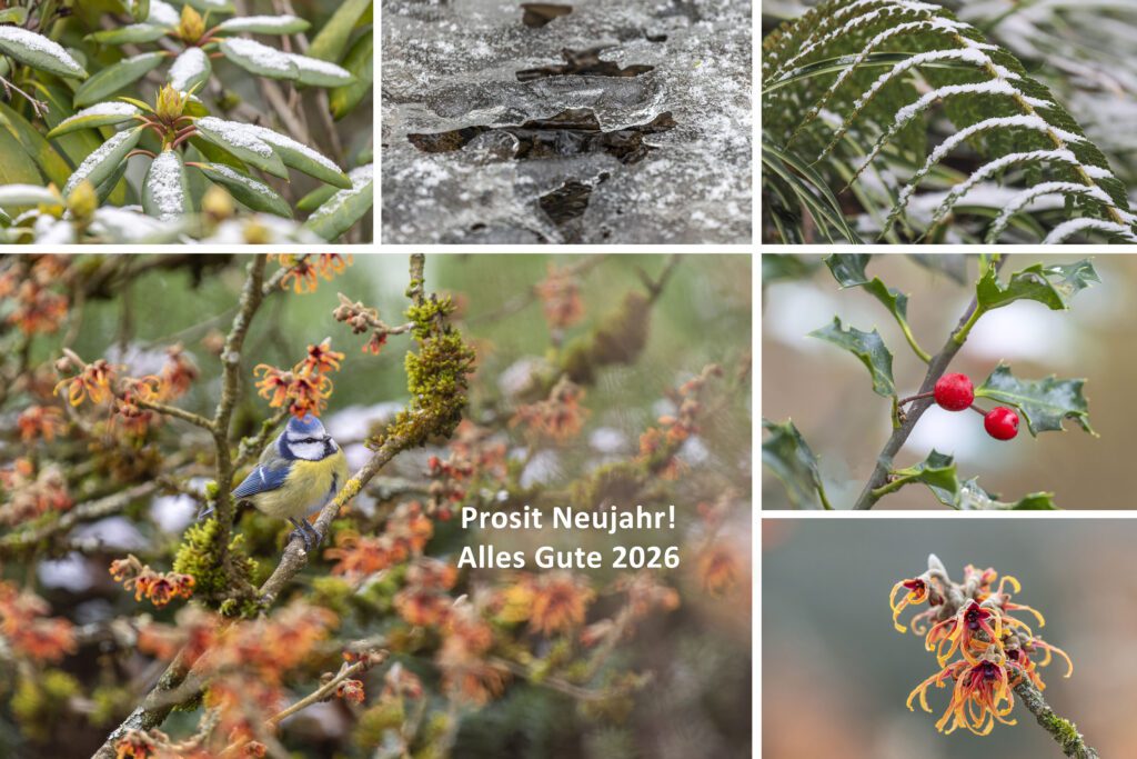 Reinhardt nimmt euch mit auf eine visuelle Reise durch Hangard, eingefangen im Laufe des Jahres. Diese Bilder zeigen die Schönheit und Vielfalt unserer Region. Jedes Foto erzählt seine eigene Geschichte und fängt die kleinen, besonderen Augenblicke ein.