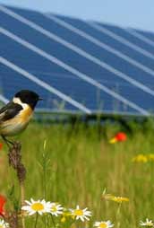Große Resonanz bei Informationsveranstaltung zum Solarpark am 10. September 2026